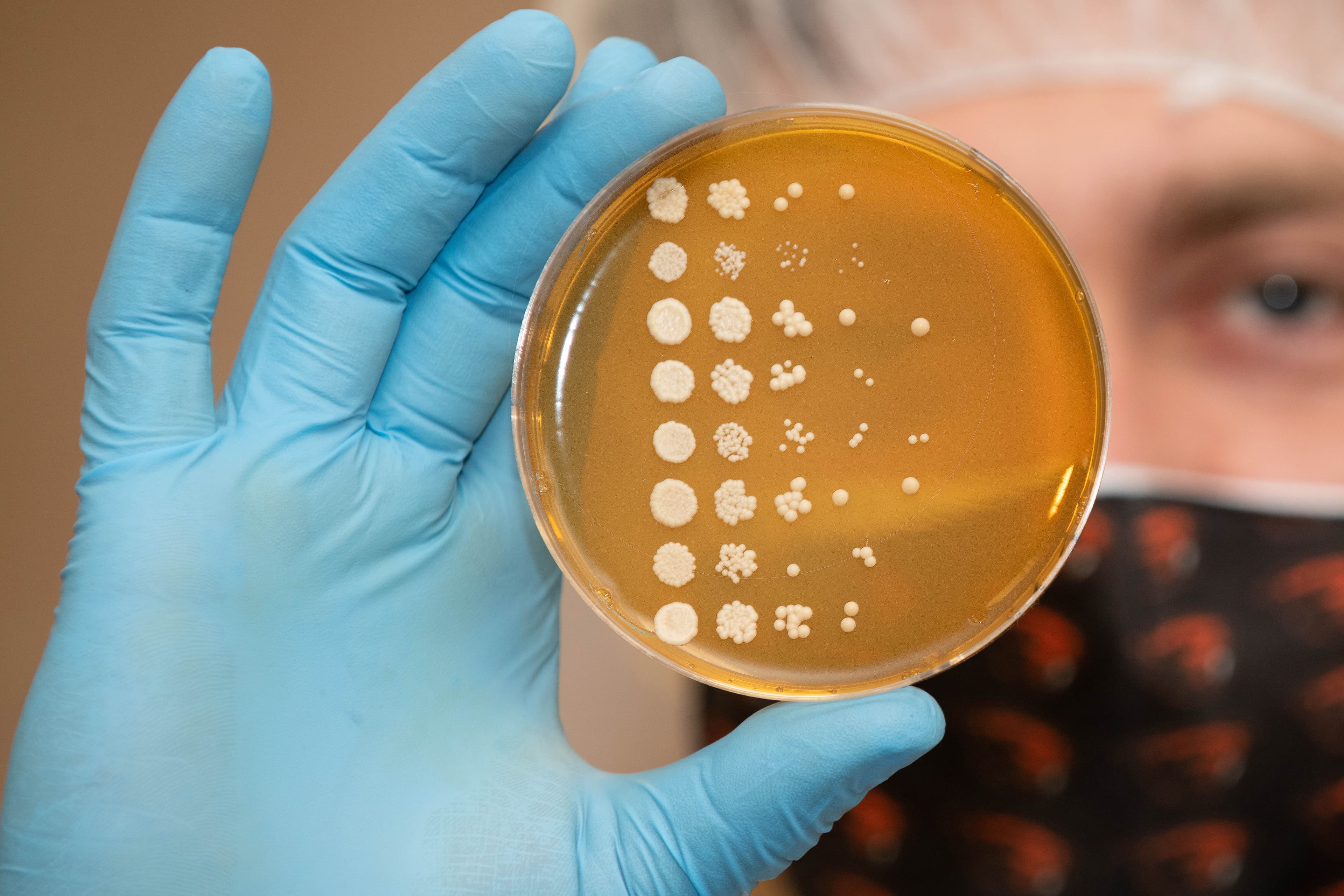 Photo from an Imperial Yeast production facility.