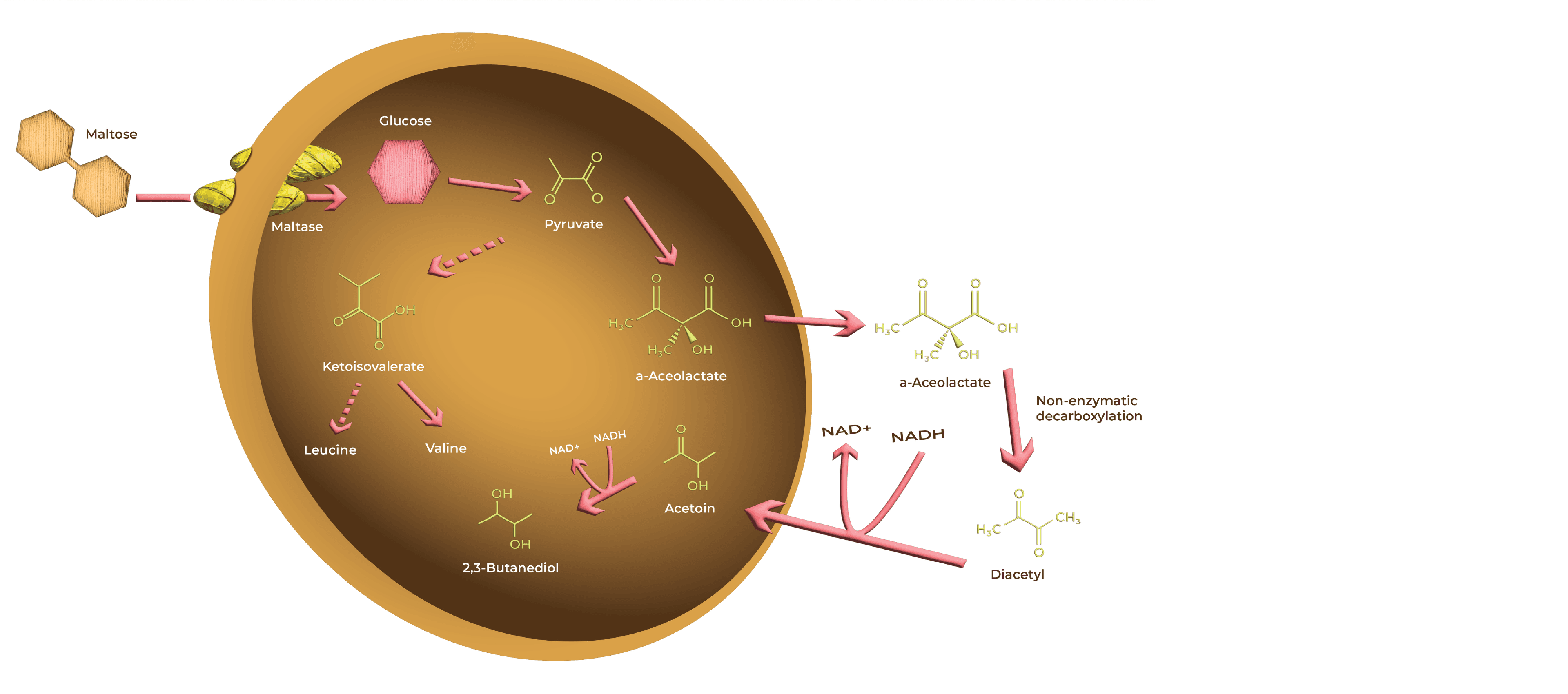 Photo from an Imperial Yeast production facility.