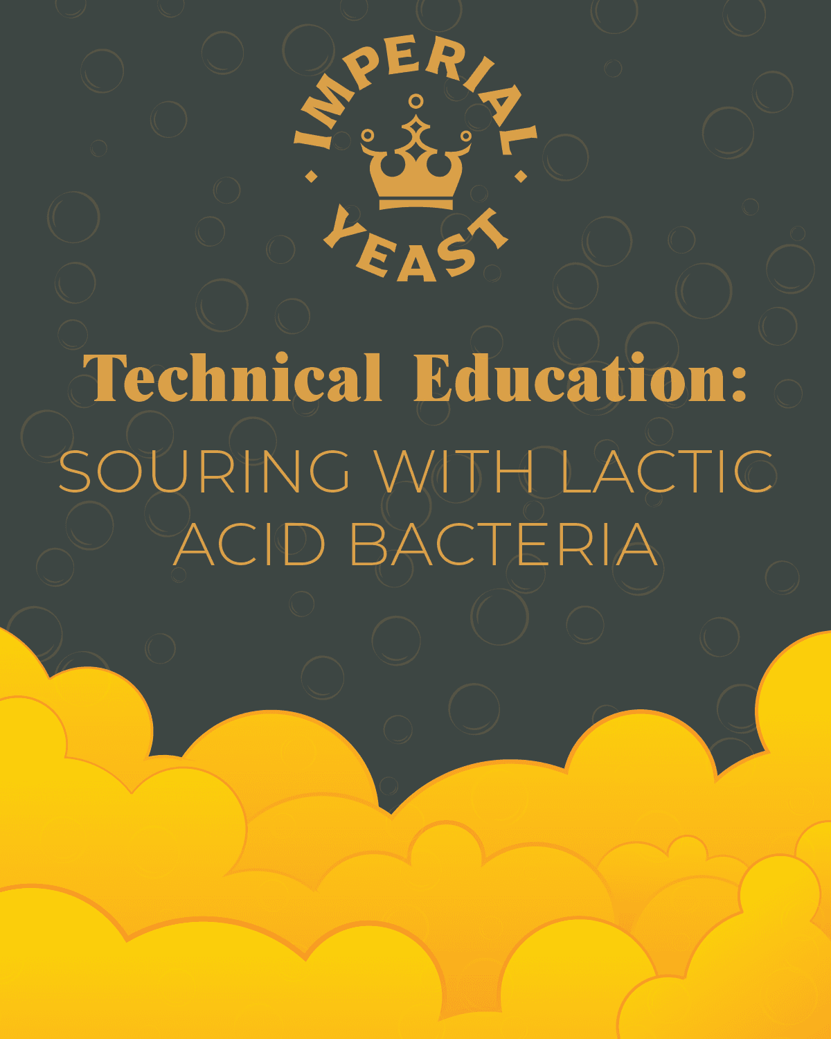 Photo from an Imperial Yeast production facility.