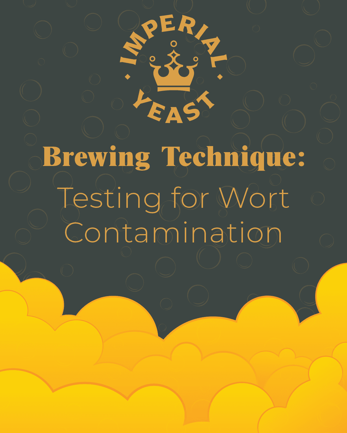 Photo from an Imperial Yeast production facility.