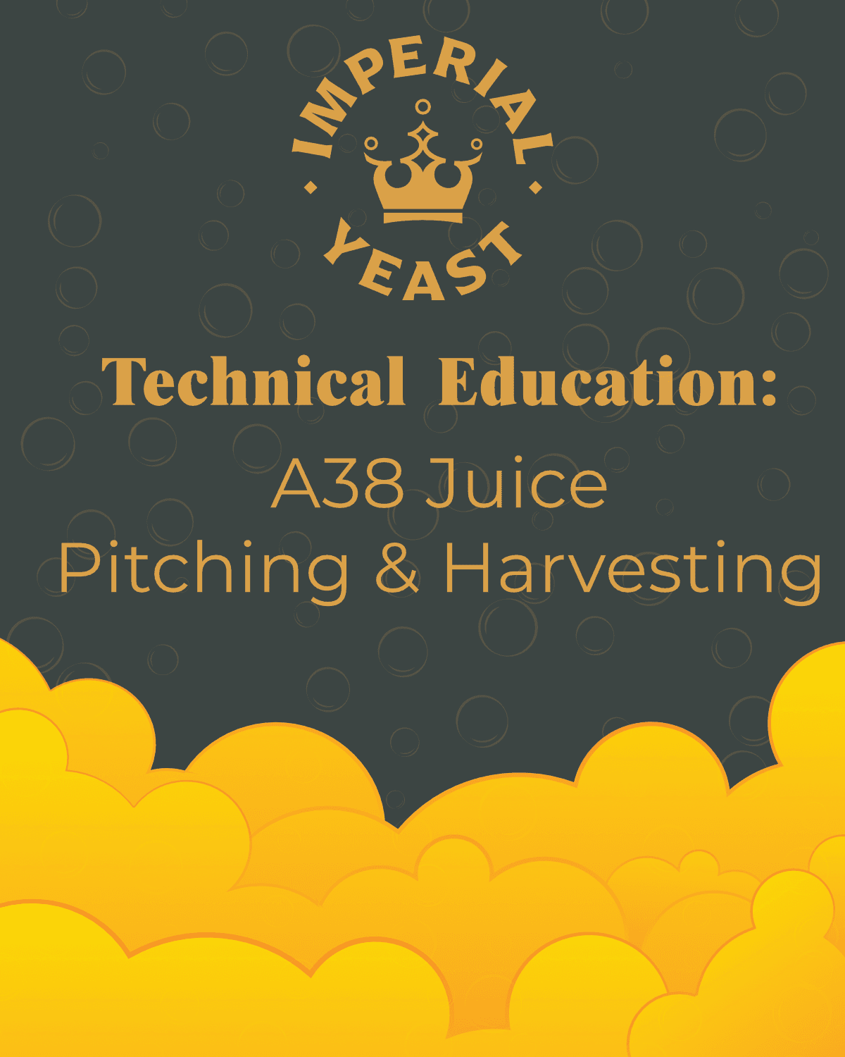 Photo from an Imperial Yeast production facility.